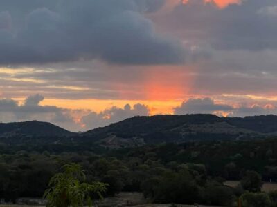 Live Oak Ranch House